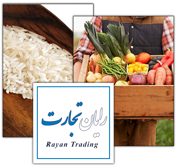 رایان تجارت